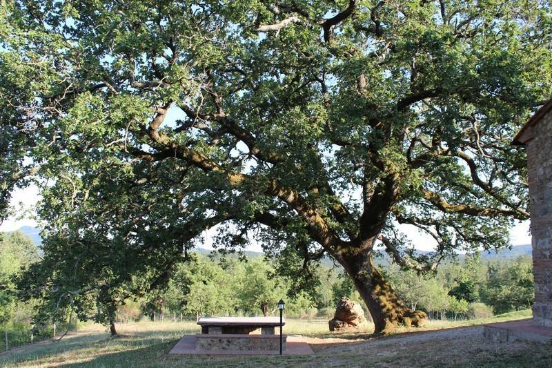 Agriturismo La Quercia Boccheggiano Екстер'єр фото