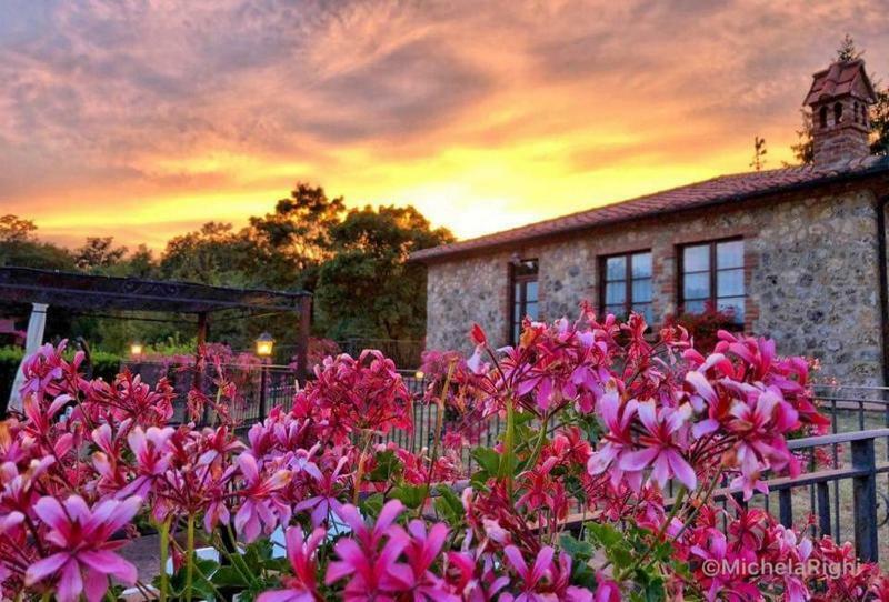 Agriturismo La Quercia Boccheggiano Екстер'єр фото
